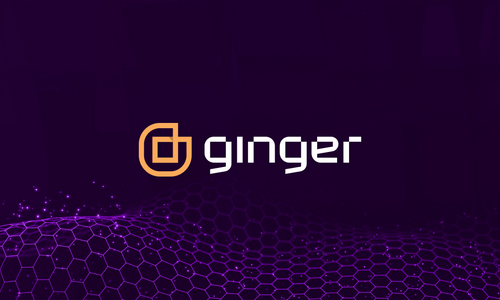 Ginger IT Solutions