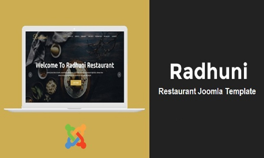 Radhuni - Multipurpose Business Joomla Theme With Page Builder