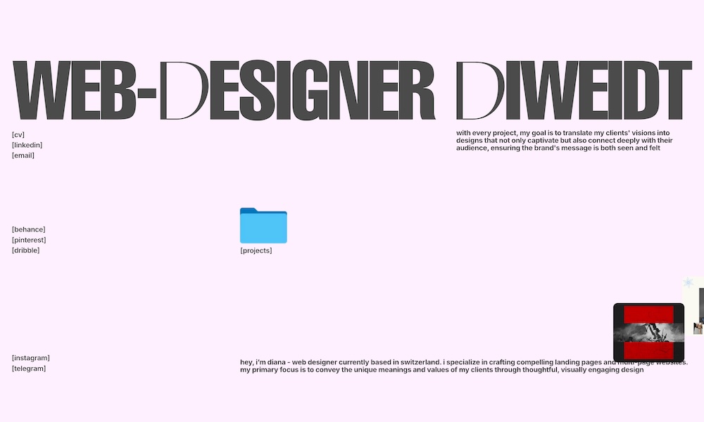 Web Designer Diweidt