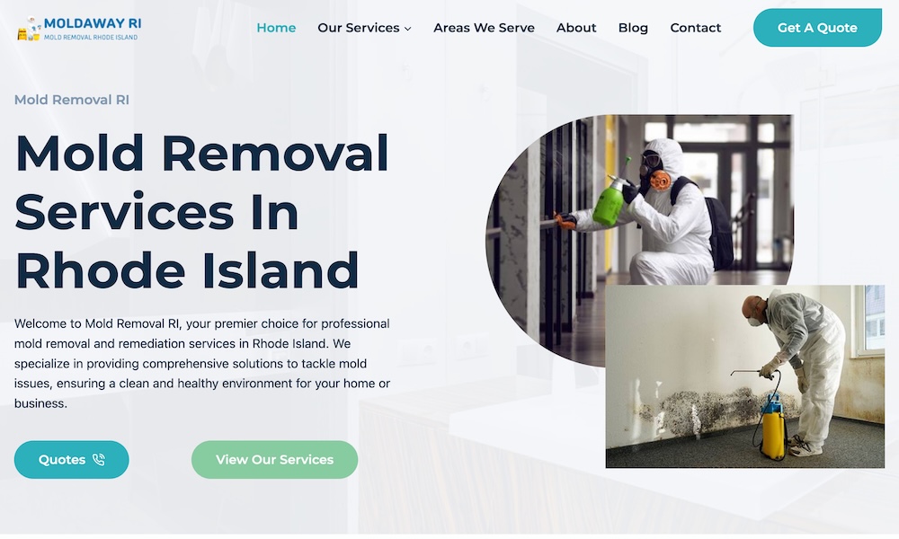 Mold Removal RI